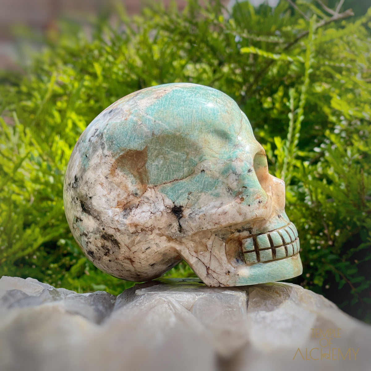 Amazonite x Black Tourmaline