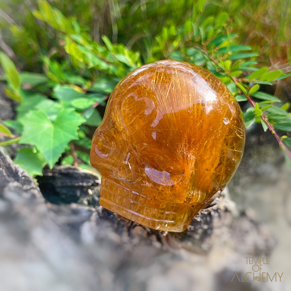 Golden Rutiles x Garden Quartz