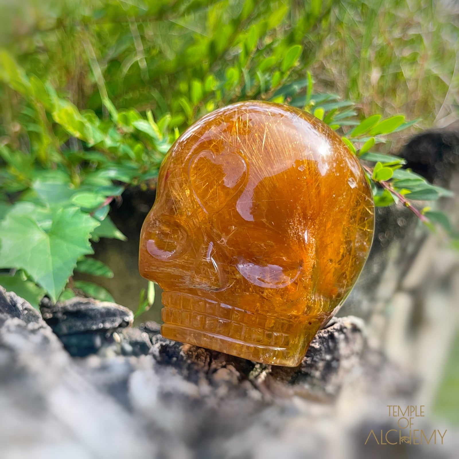 Golden Rutiles x Garden Quartz