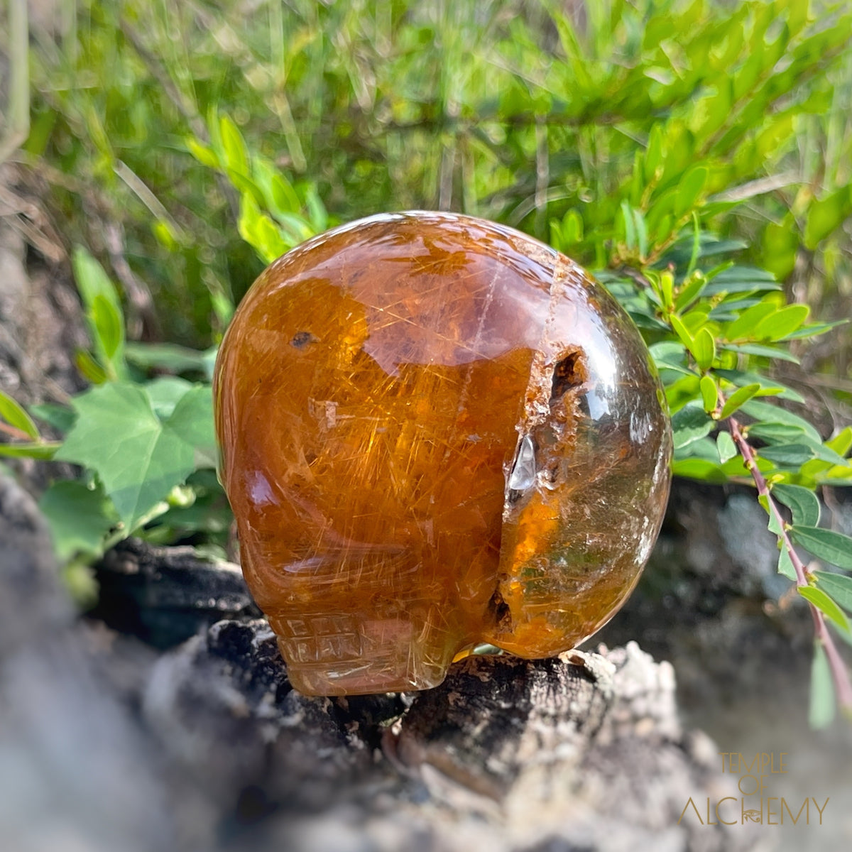 Golden Rutiles x Garden Quartz