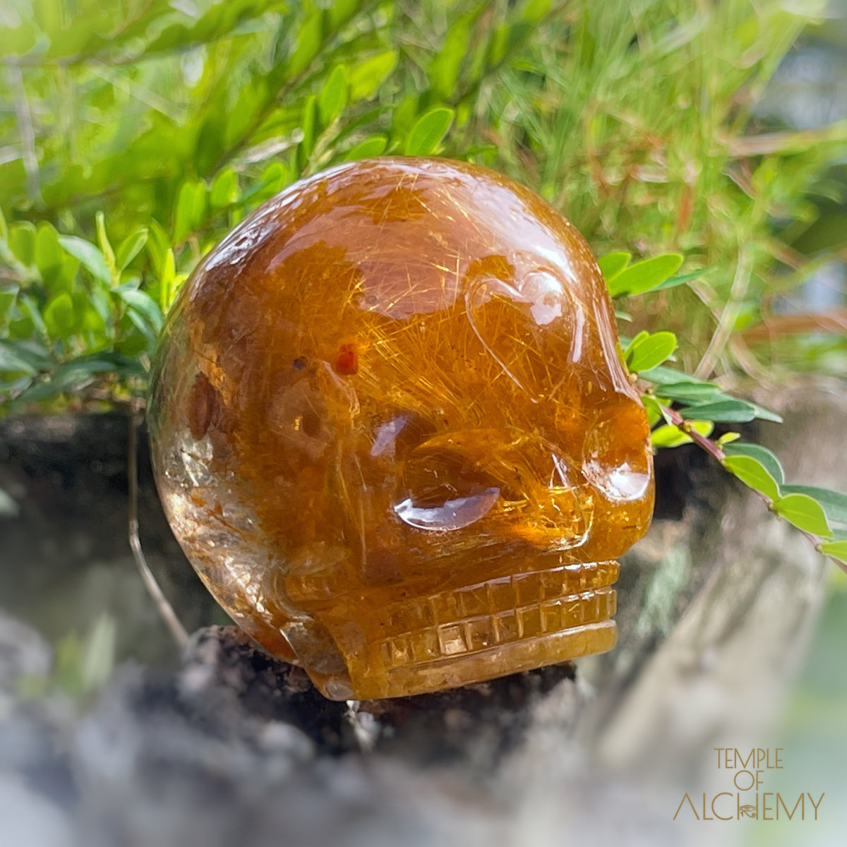 Golden Rutiles x Garden Quartz