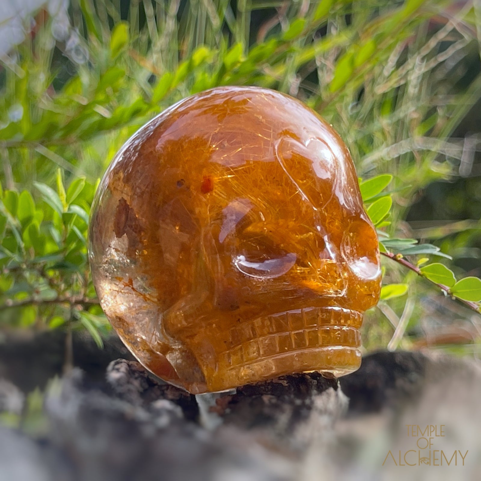 Golden Rutiles x Garden Quartz