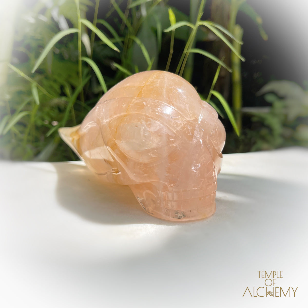 Rose Quartz x Golden Healer