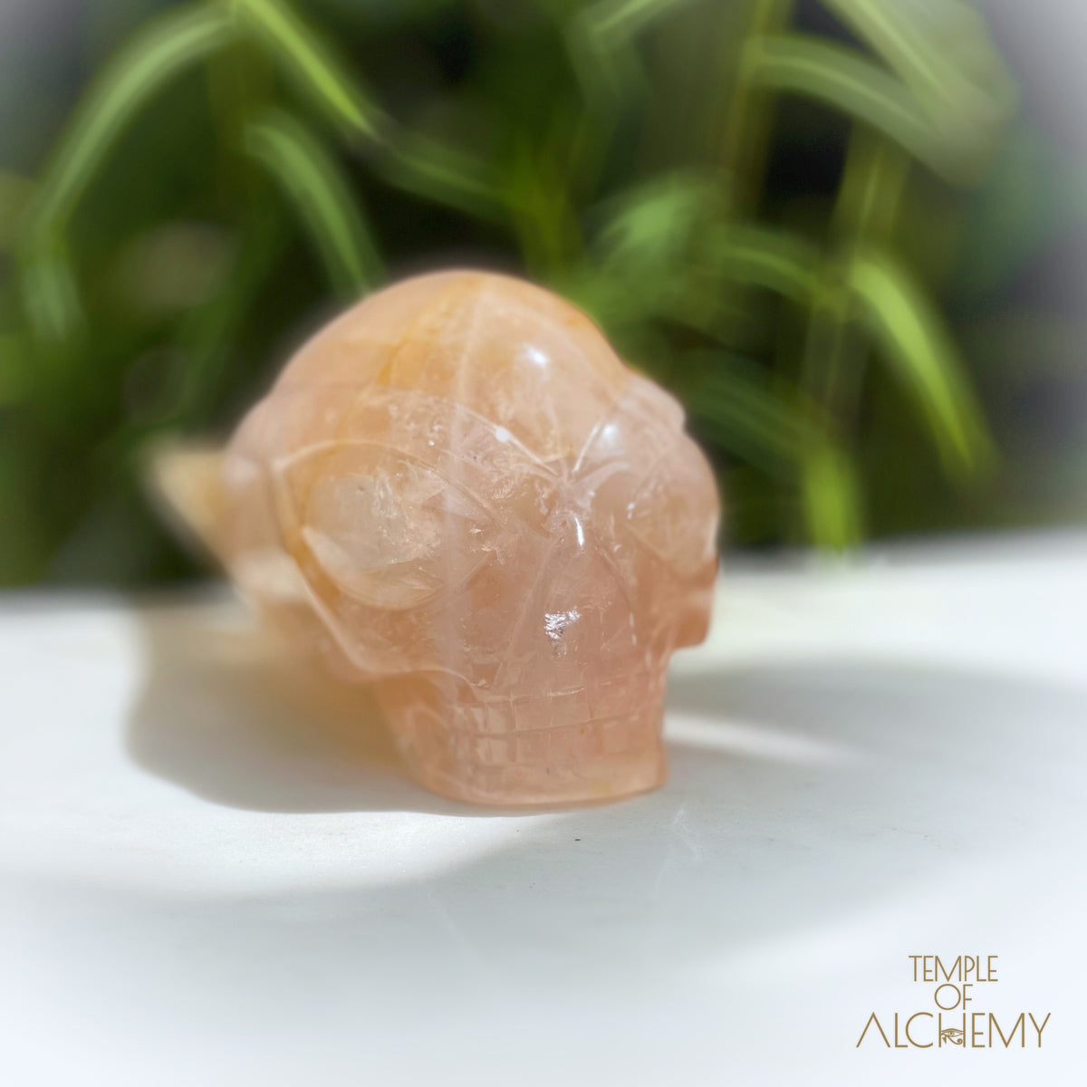 Rose Quartz x Golden Healer