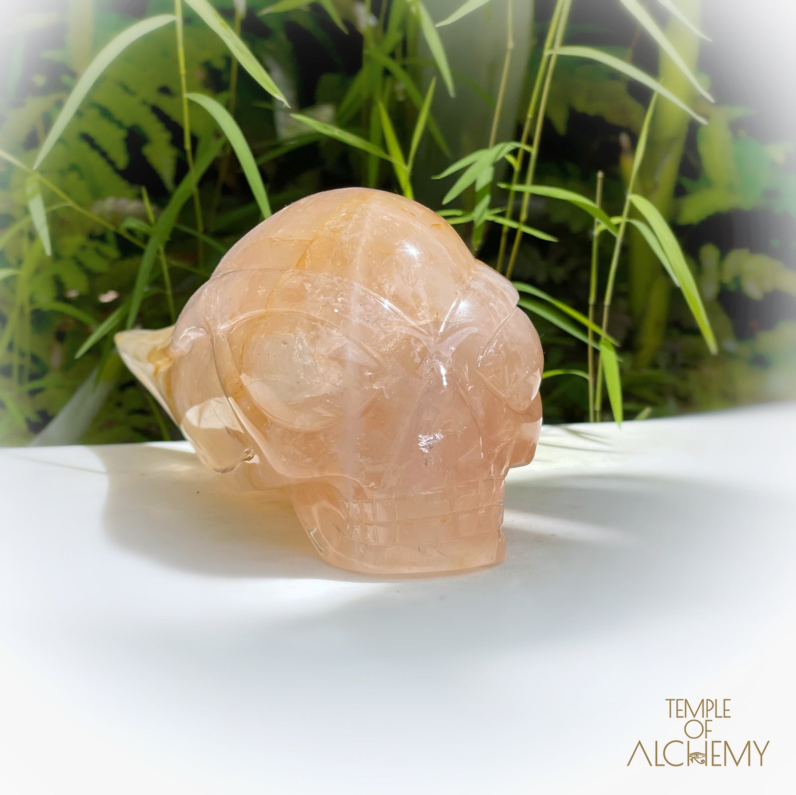 Rose Quartz x Golden Healer