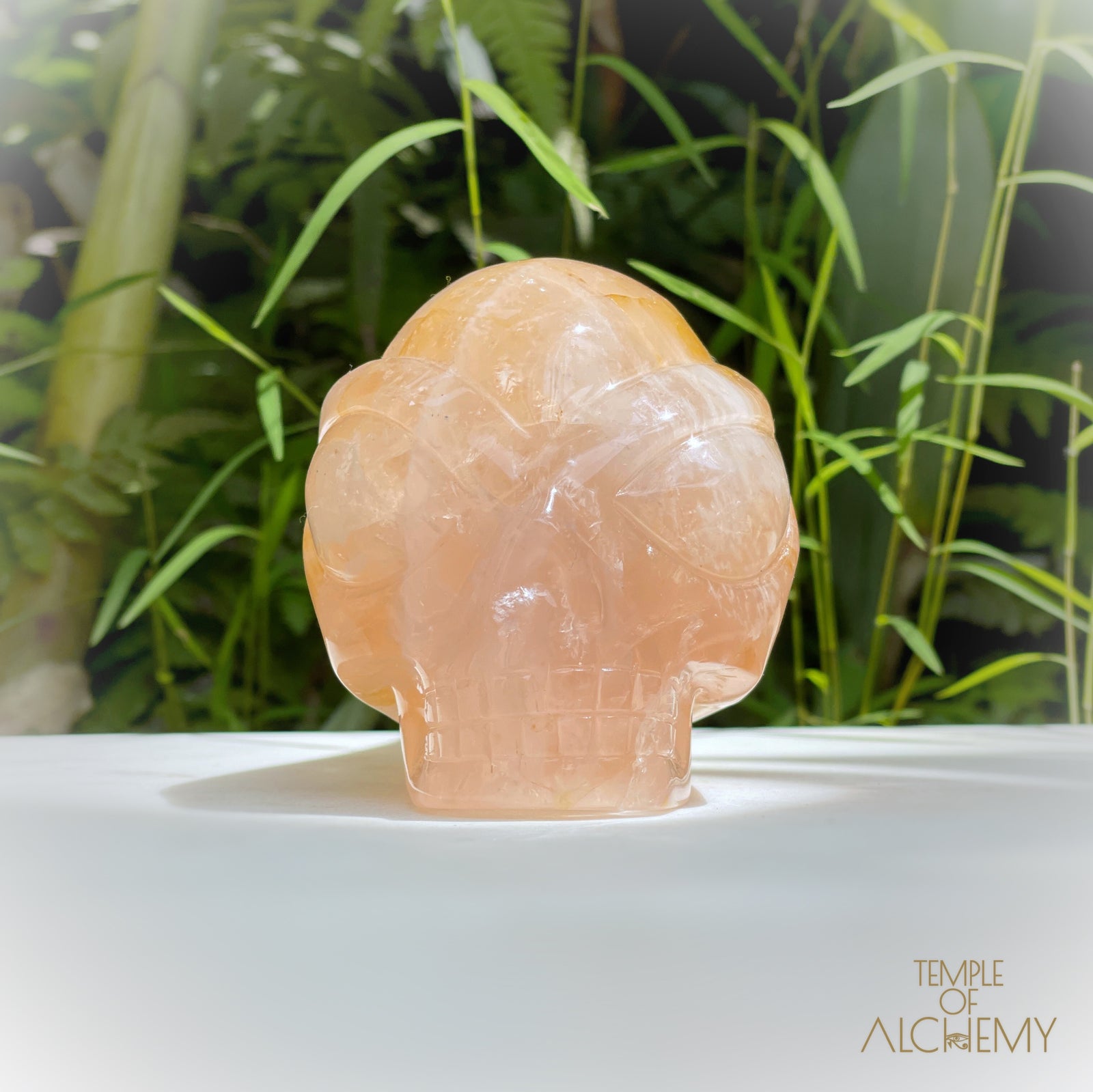 Rose Quartz x Golden Healer