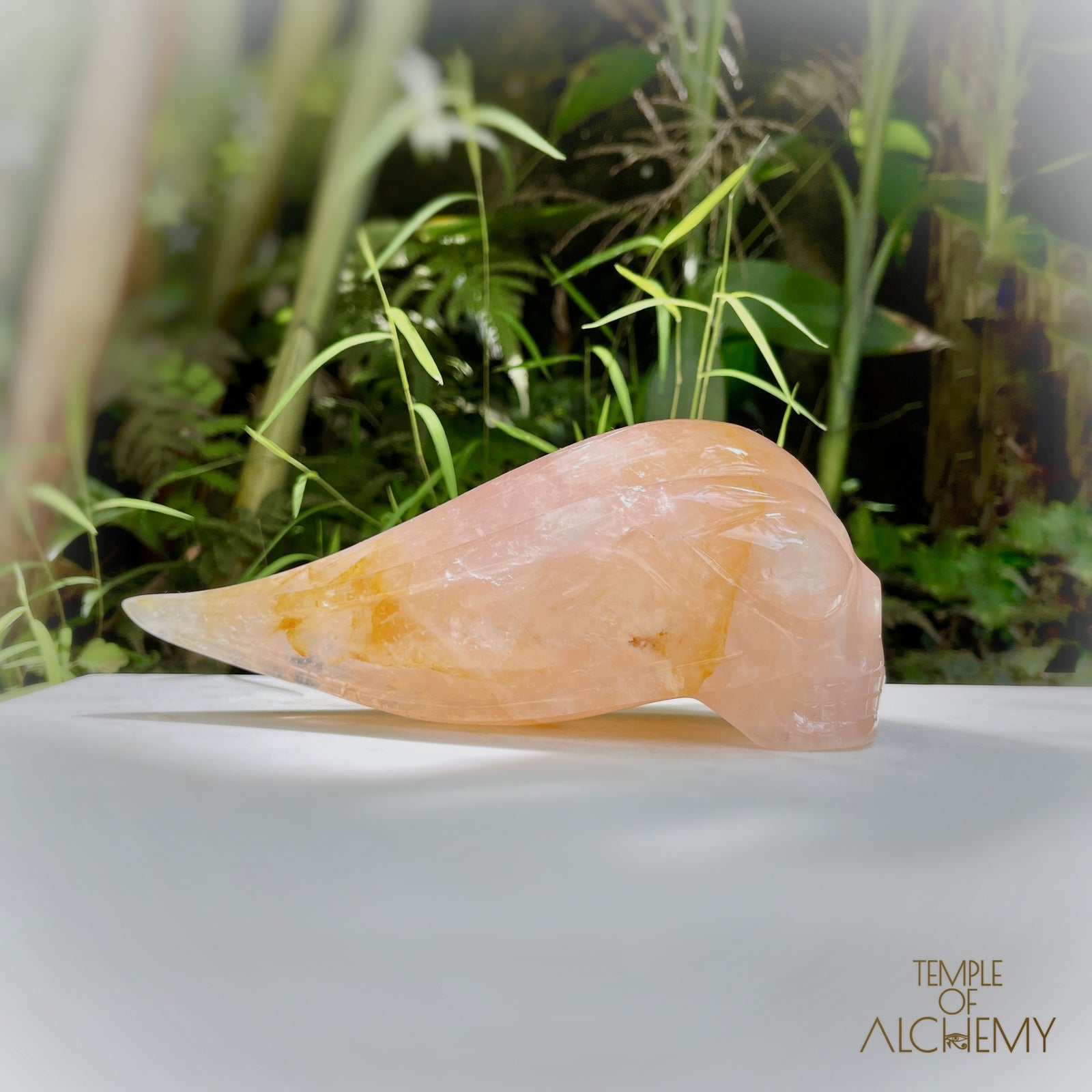 Rose Quartz x Golden Healer