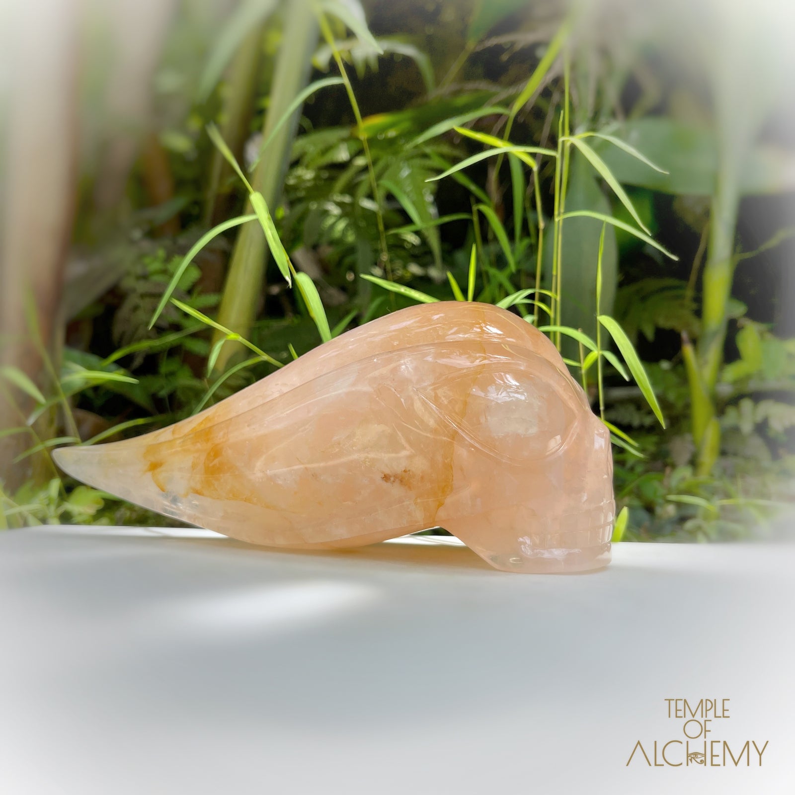 Rose Quartz x Golden Healer