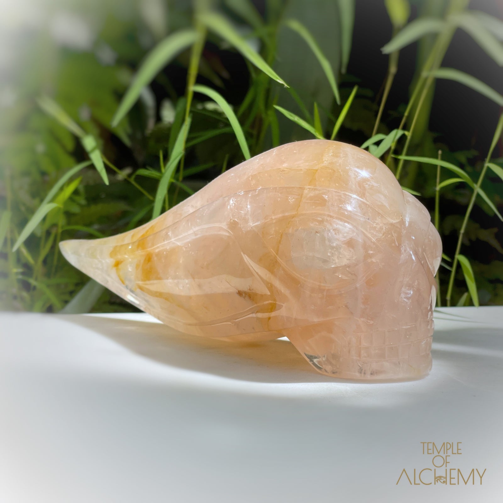 Rose Quartz x Golden Healer