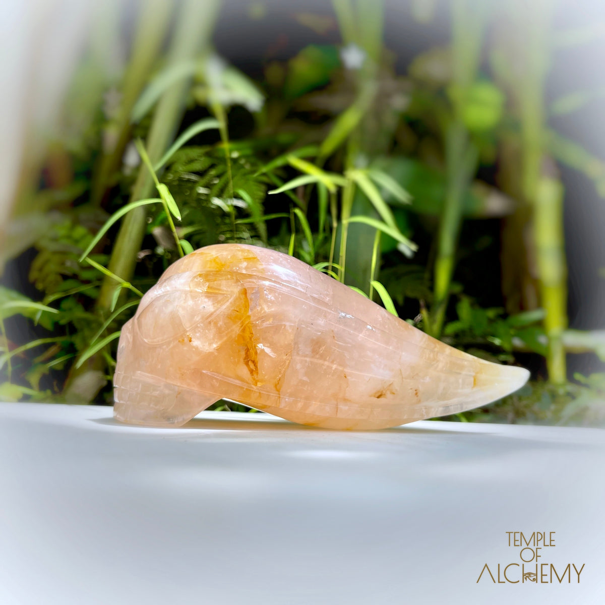 Rose Quartz x Golden Healer