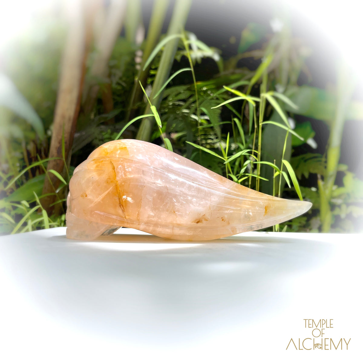 Rose Quartz x Golden Healer