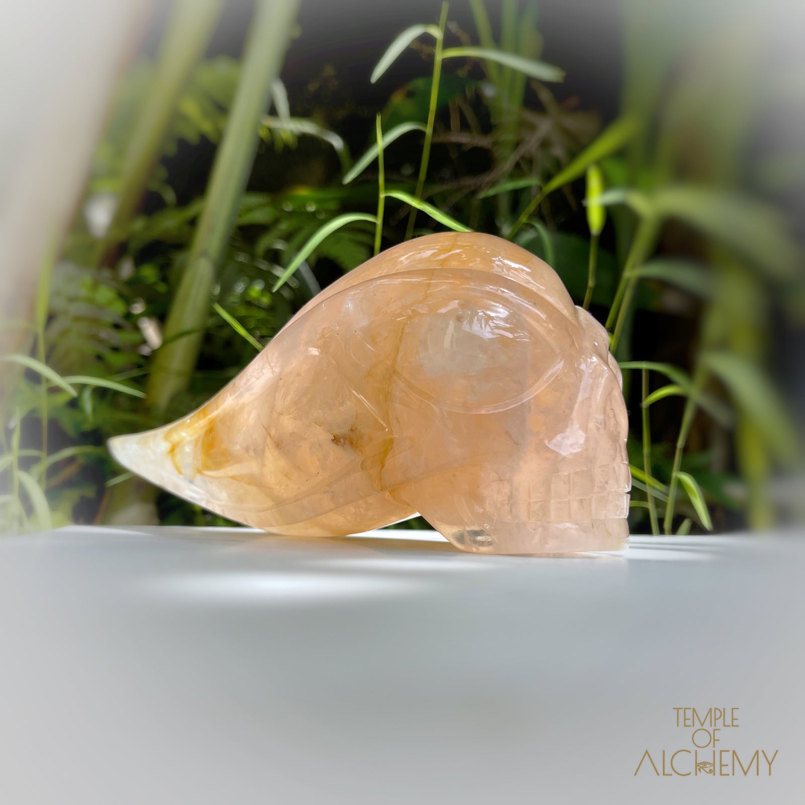 Rose Quartz x Golden Healer