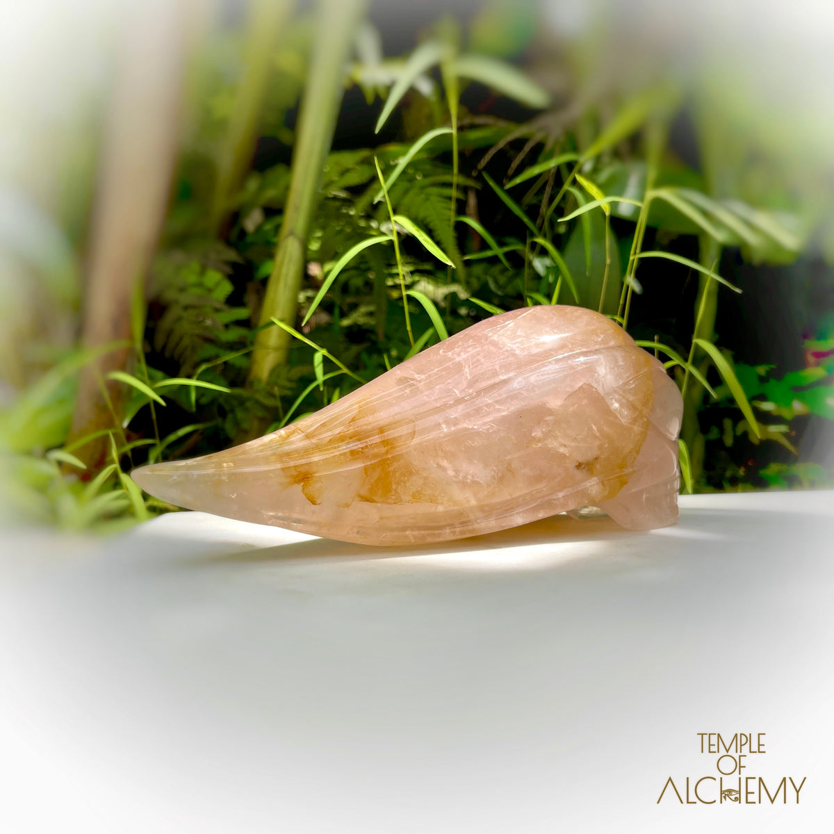 Rose Quartz x Golden Healer