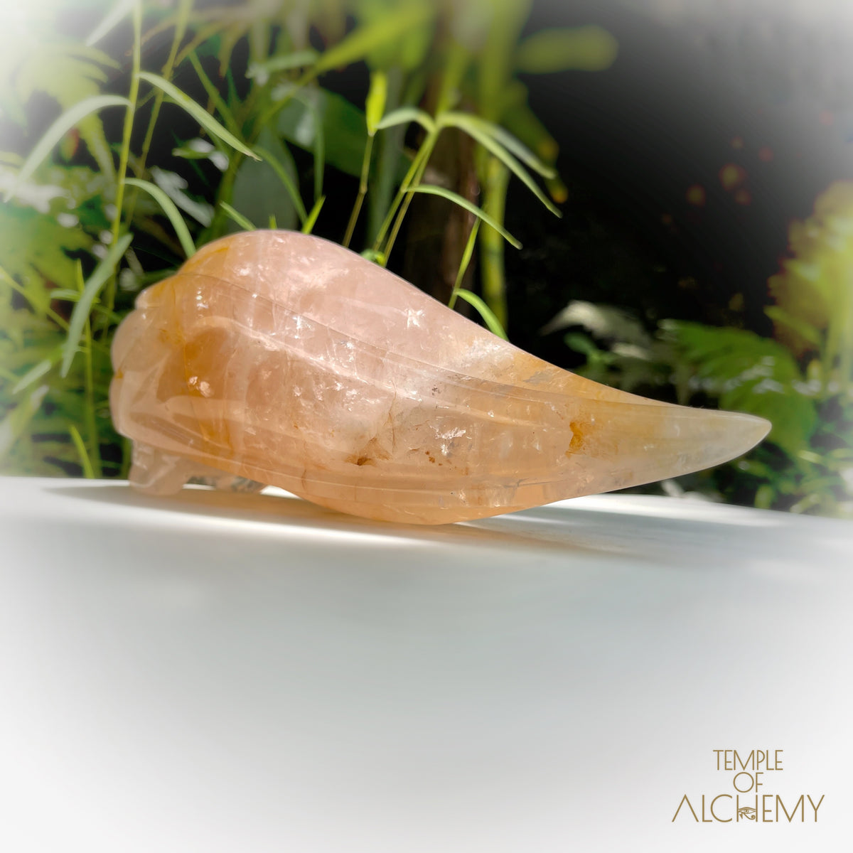 Rose Quartz x Golden Healer