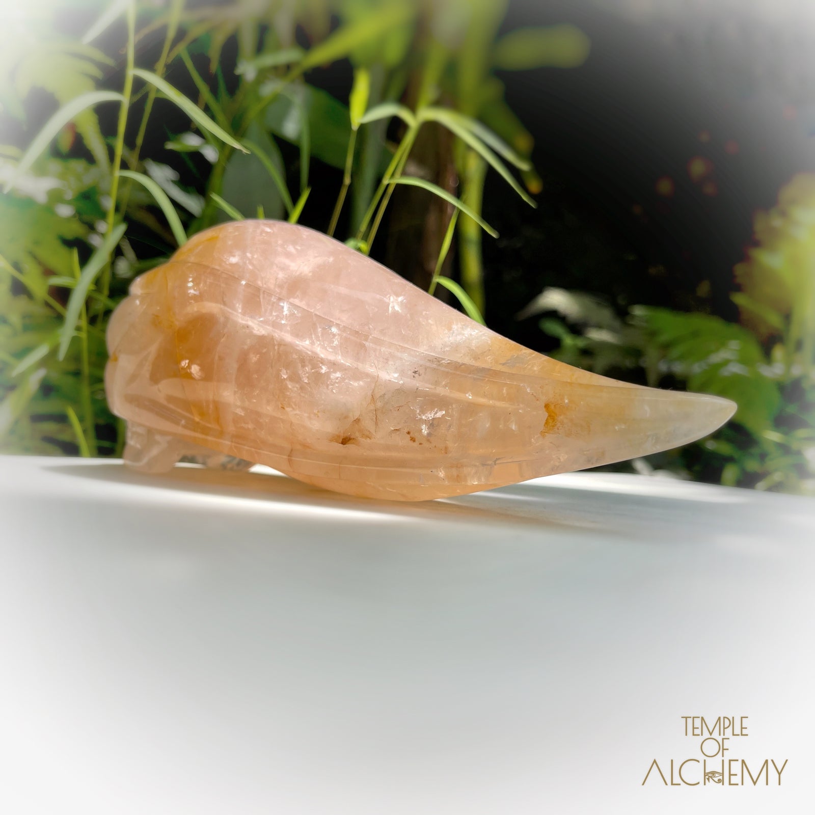 Rose Quartz x Golden Healer