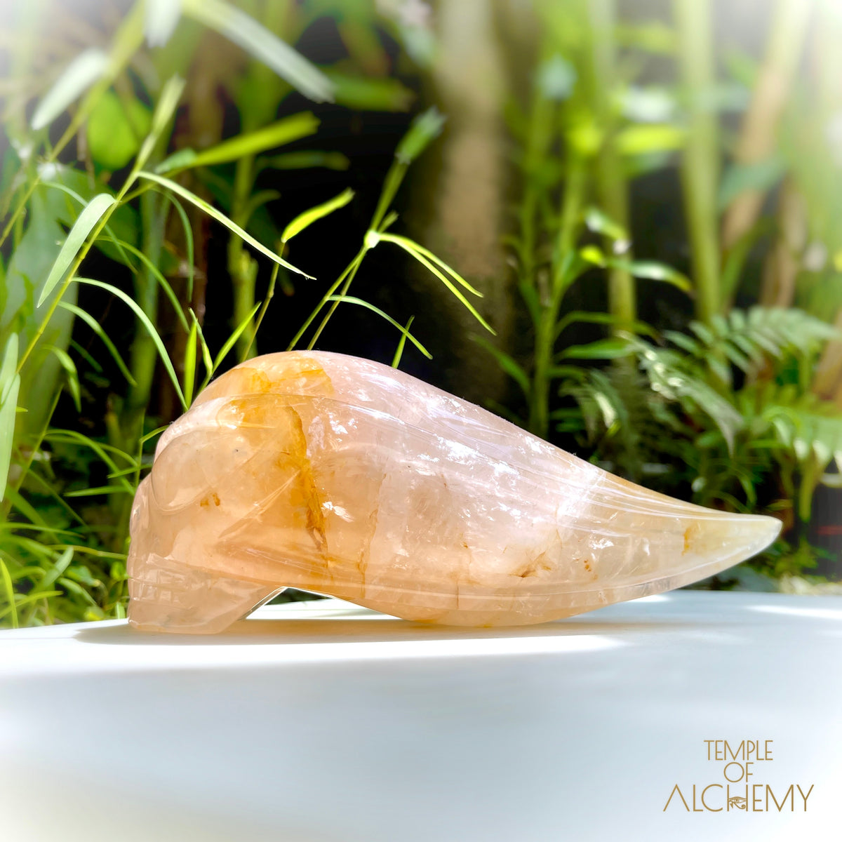 Rose Quartz x Golden Healer