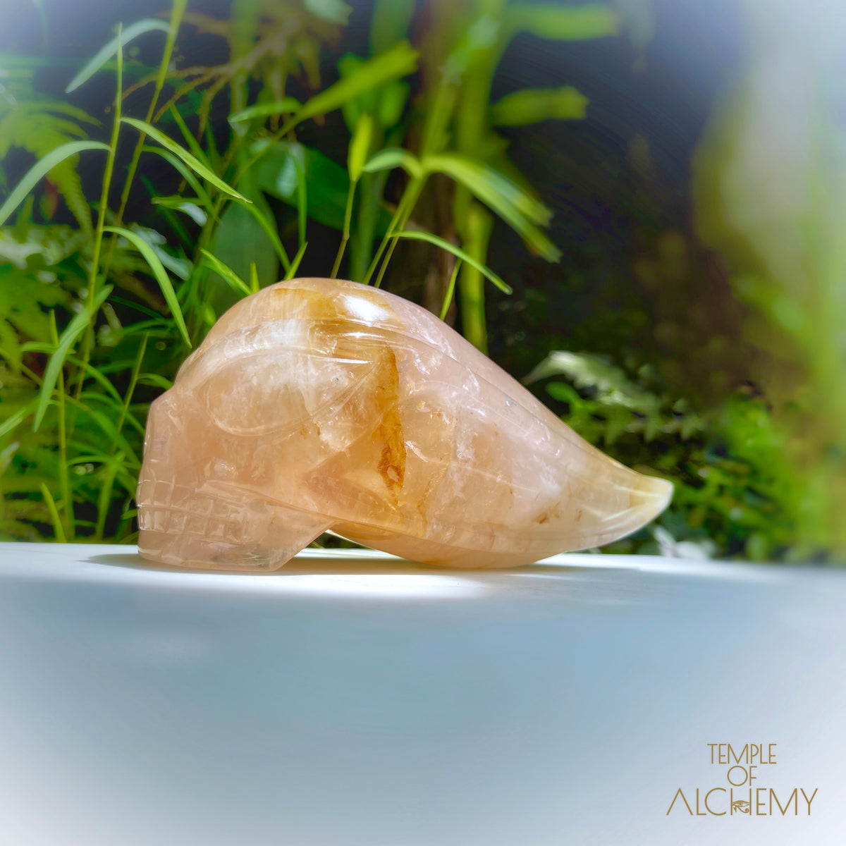 Rose Quartz x Golden Healer