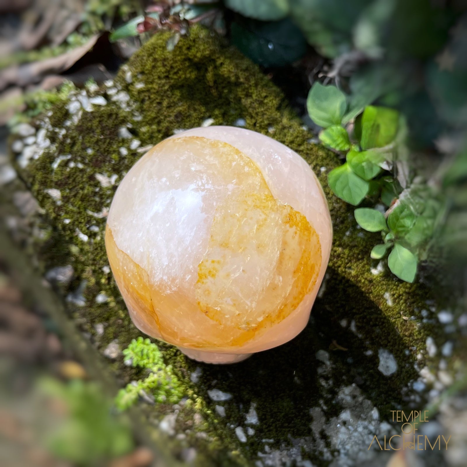 Rose Quartz x Dendritic Hematoid Quartz