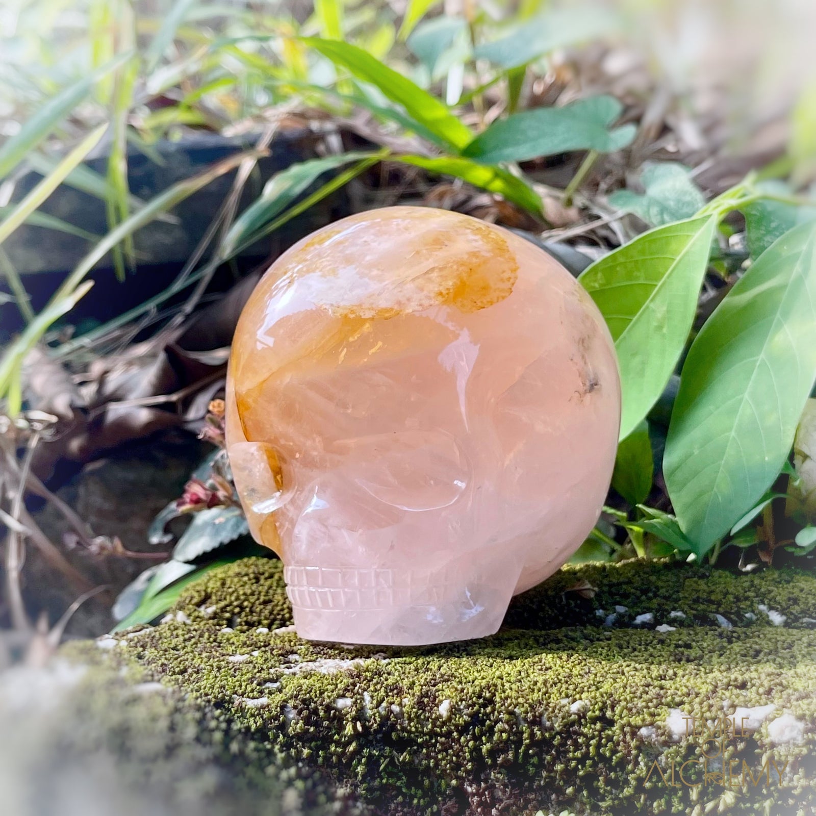 Rose Quartz x Dendritic Hematoid Quartz