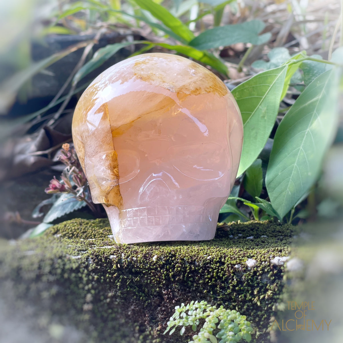 Rose Quartz x Dendritic Hematoid Quartz