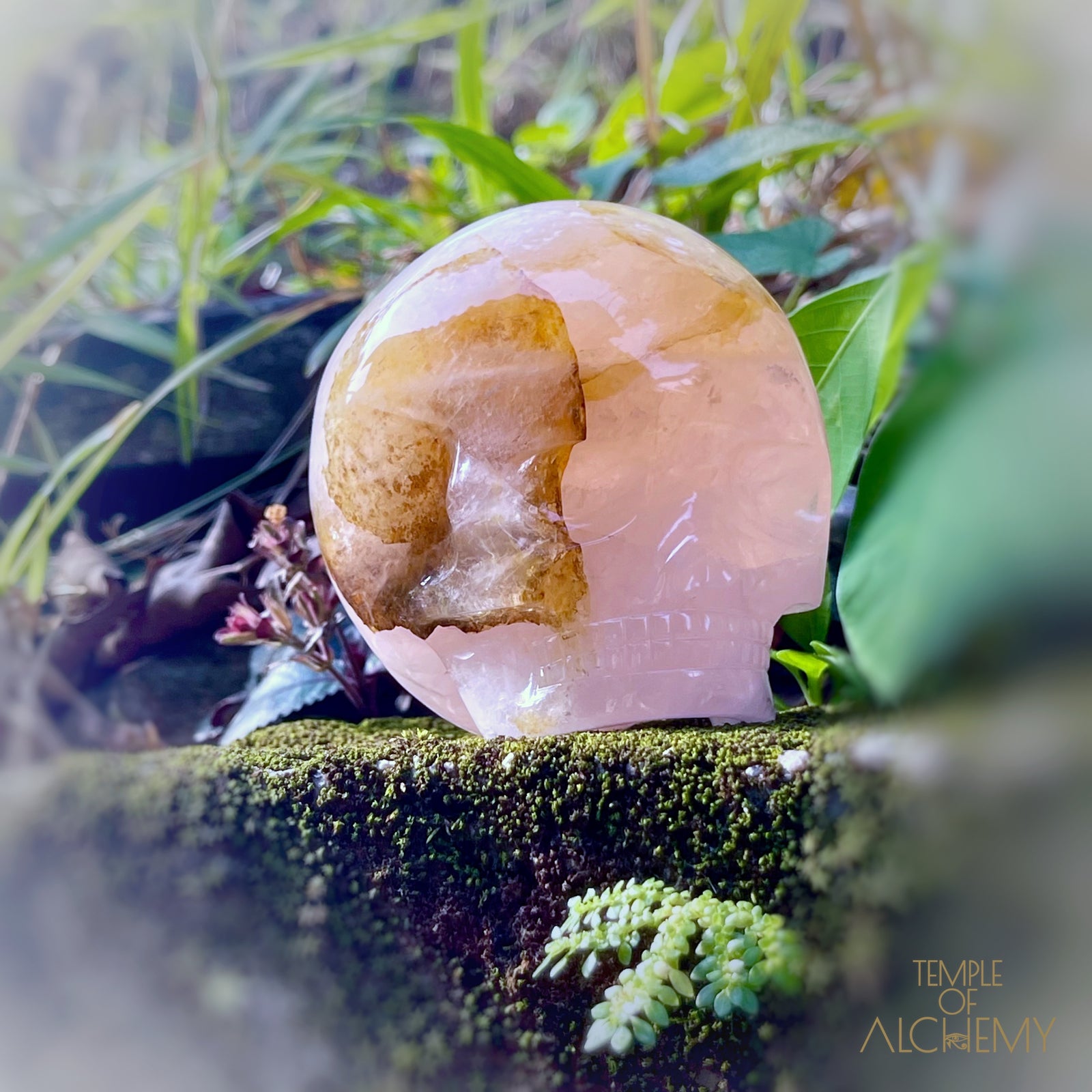 Rose Quartz x Dendritic Hematoid Quartz