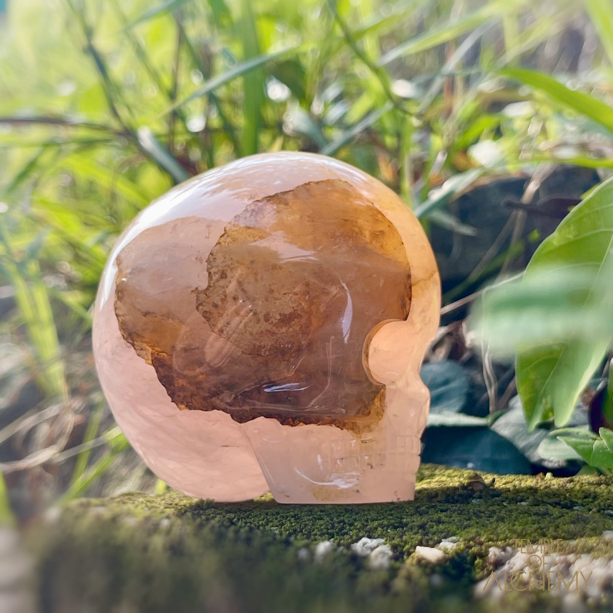 Rose Quartz x Dendritic Hematoid Quartz