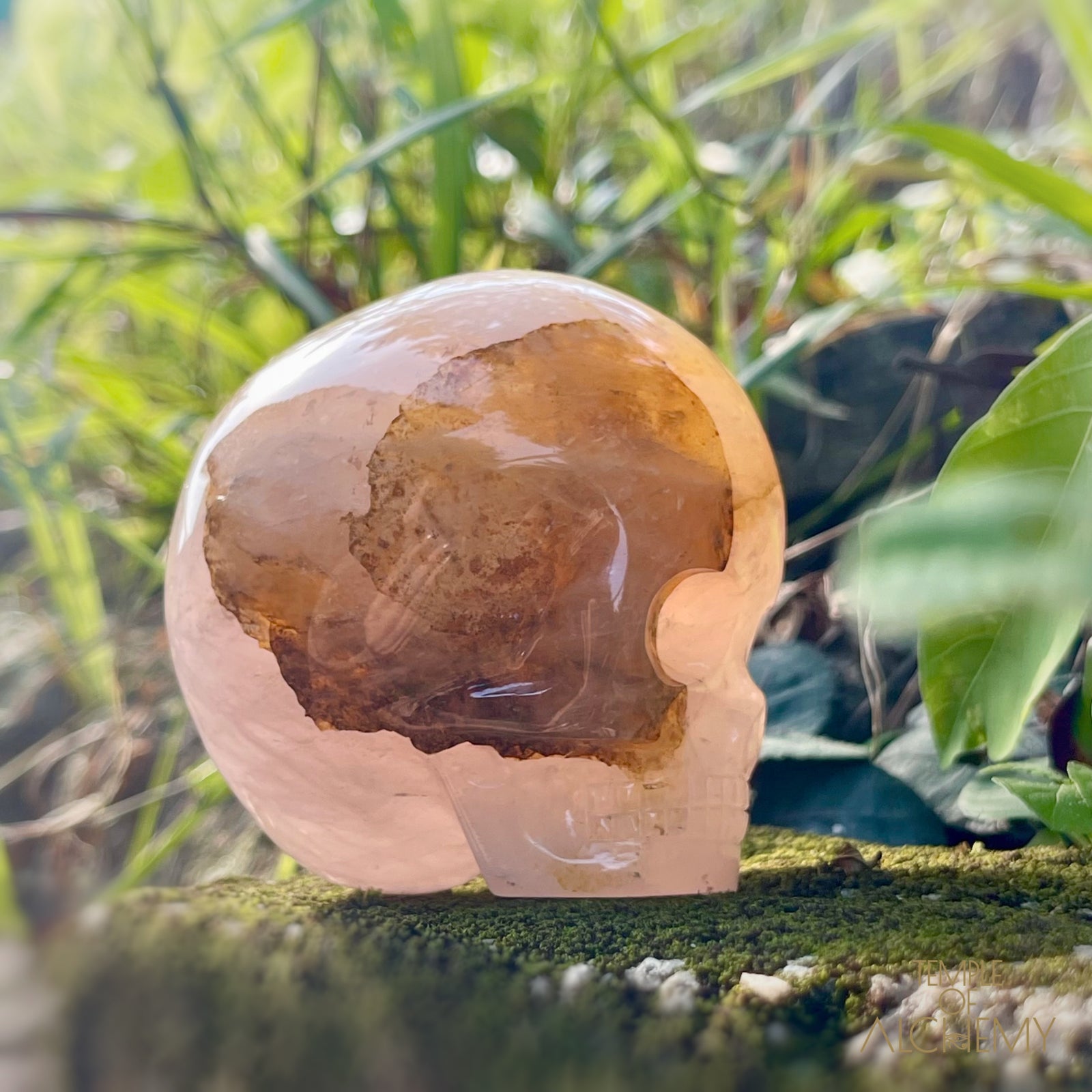 Rose Quartz x Dendritic Hematoid Quartz