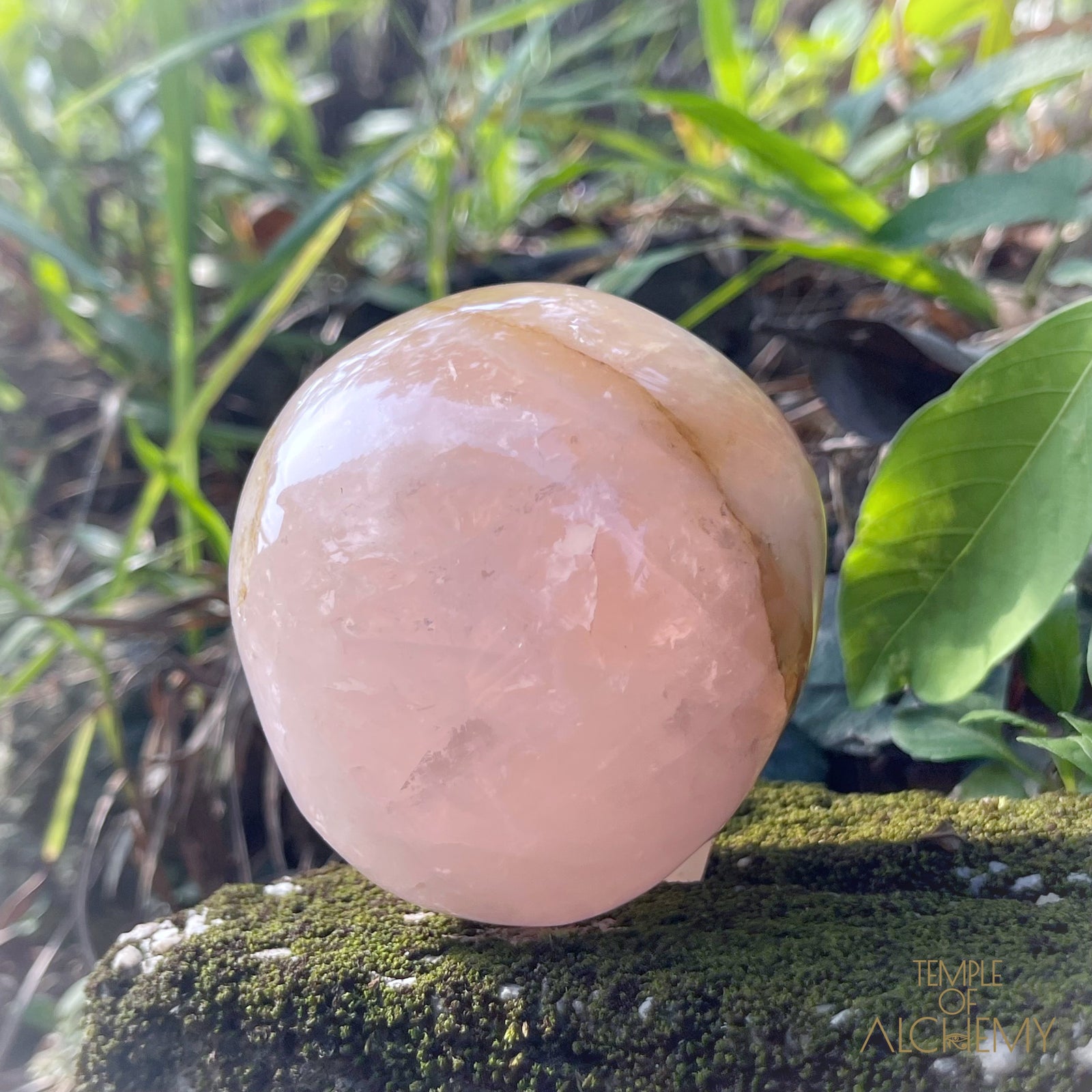 Rose Quartz x Dendritic Hematoid Quartz