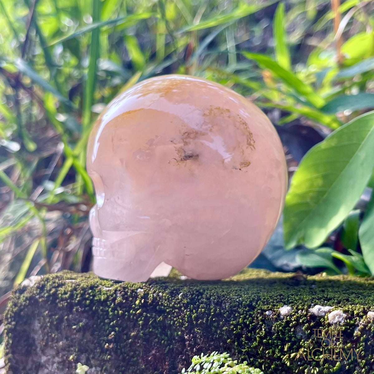 Rose Quartz x Dendritic Hematoid Quartz