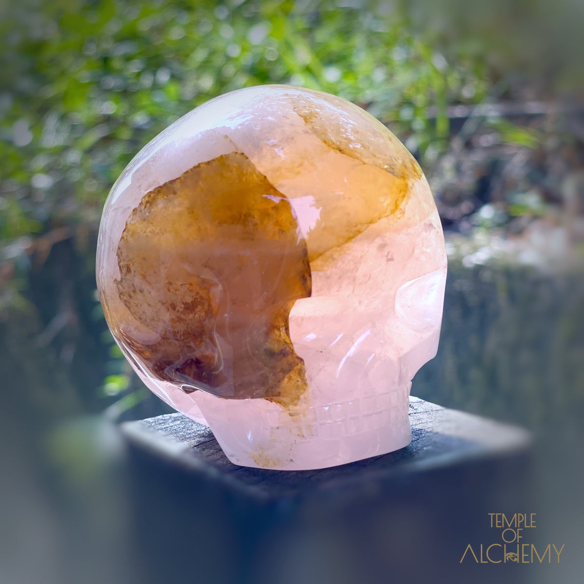 Rose Quartz x Dendritic Hematoid Quartz