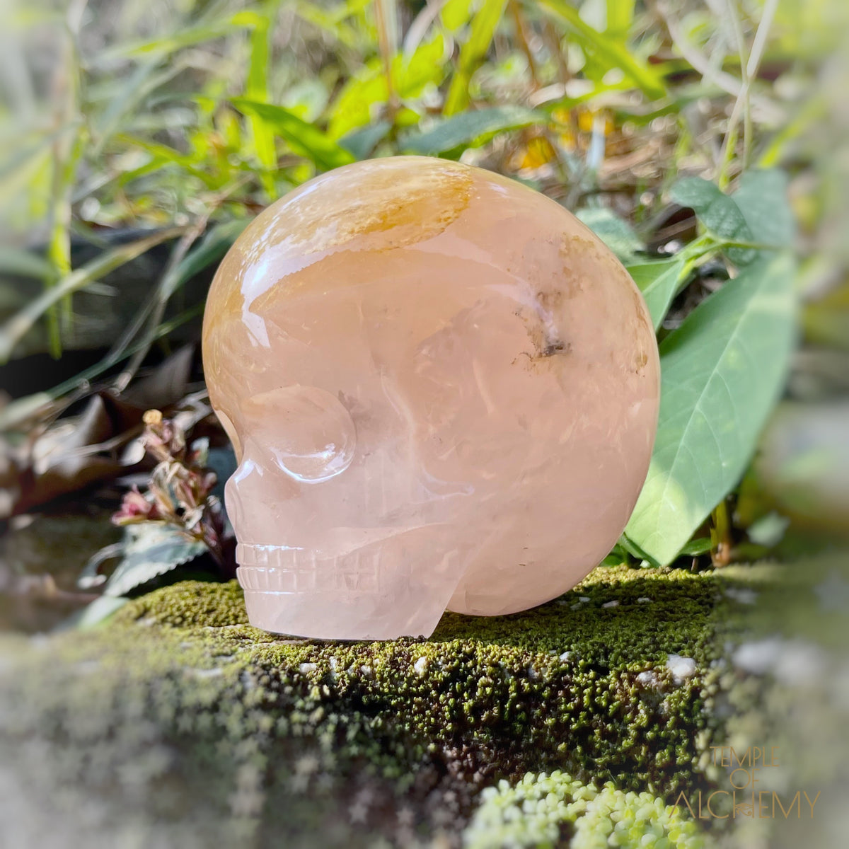 Rose Quartz x Dendritic Hematoid Quartz