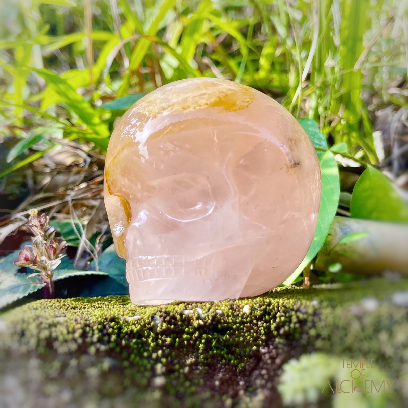 Rose Quartz x Dendritic Hematoid Quartz