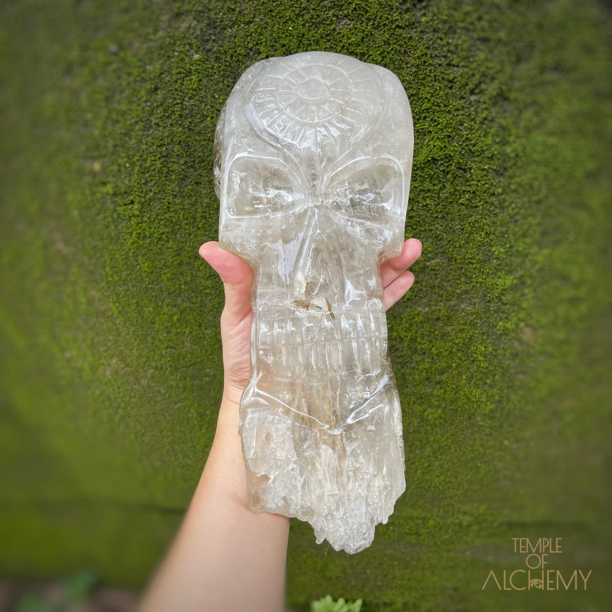 * Reserved A.B * Enhydro Shaman