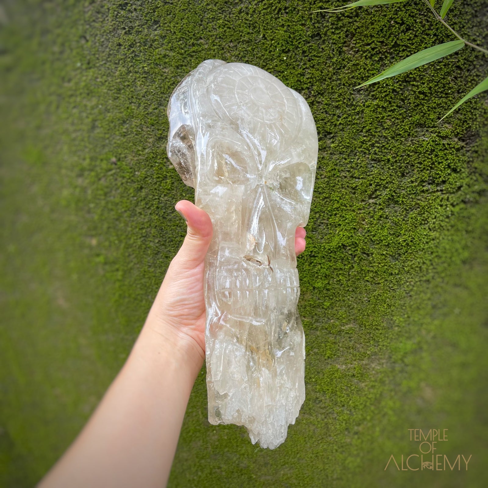 * Reserved A.B * Enhydro Shaman