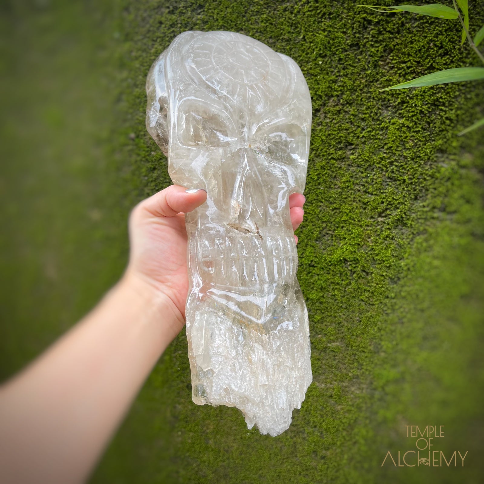 * Reserved A.B * Enhydro Shaman