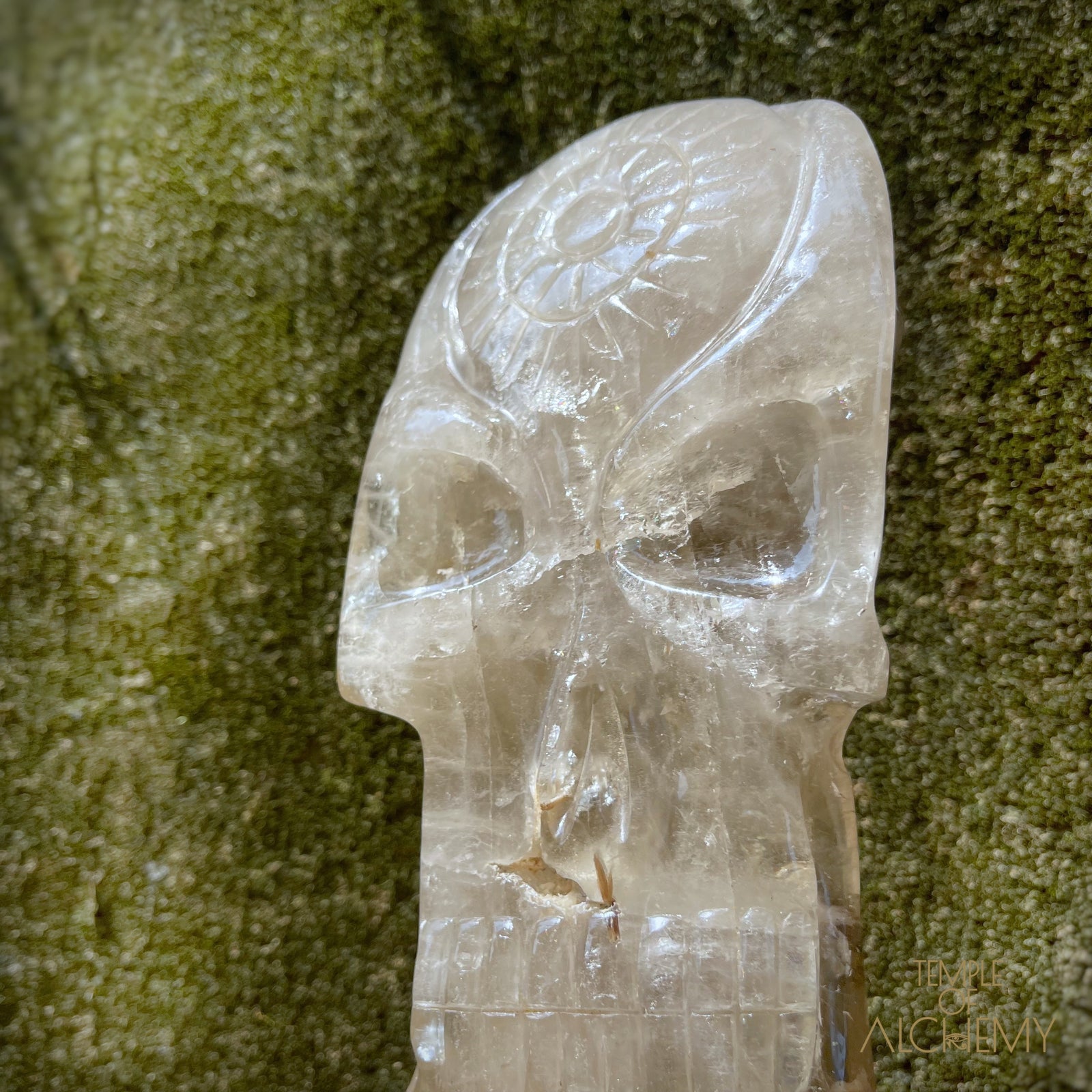 * Reserved A.B * Enhydro Shaman