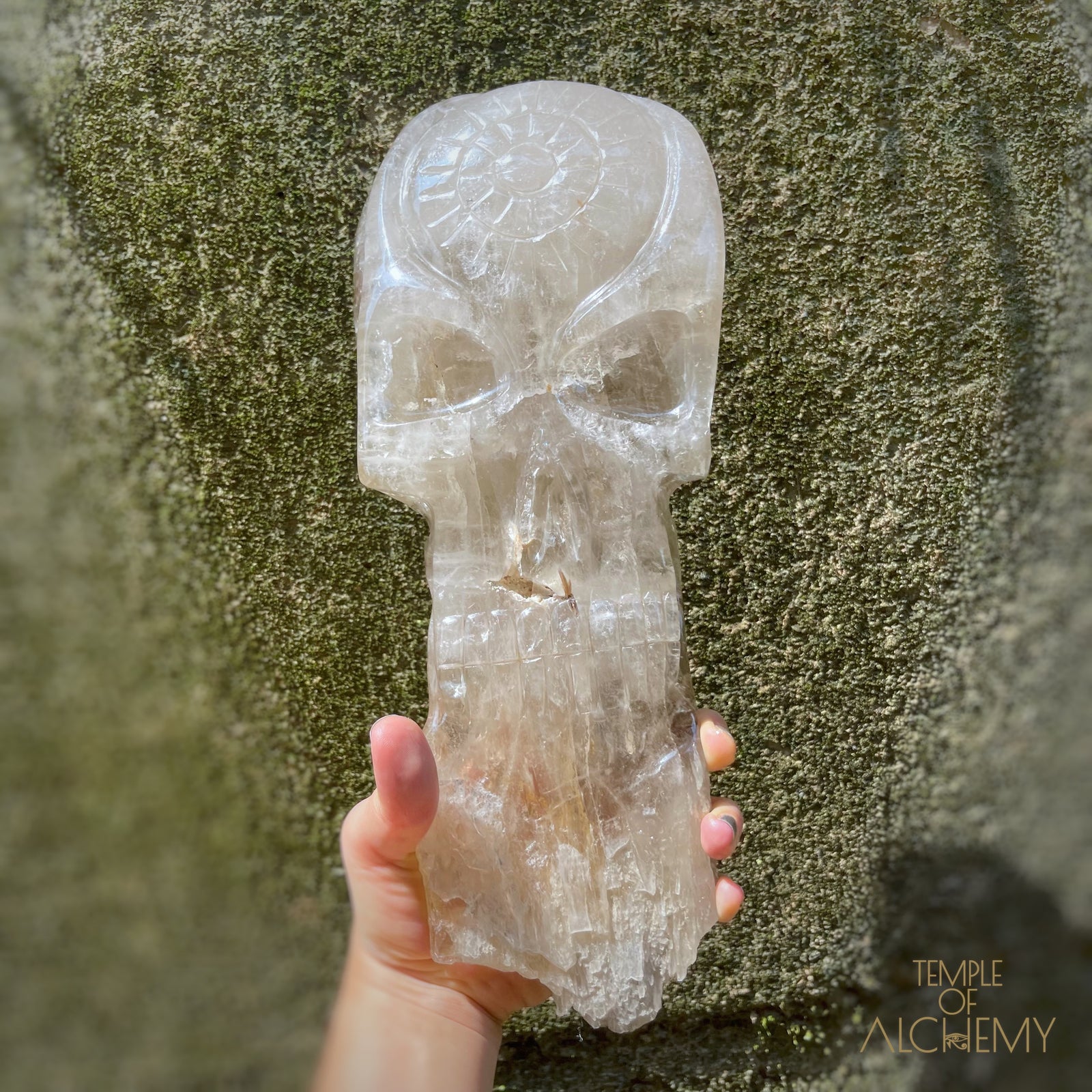 * Reserved A.B * Enhydro Shaman