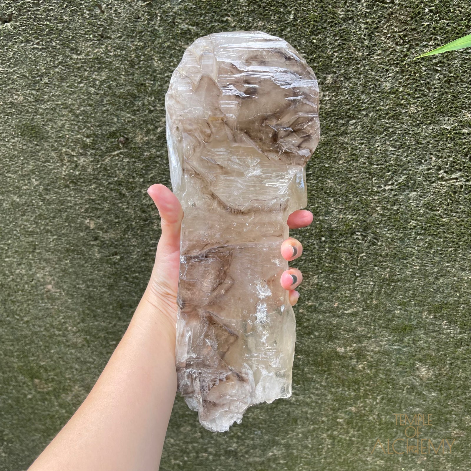 * Reserved A.B * Enhydro Shaman