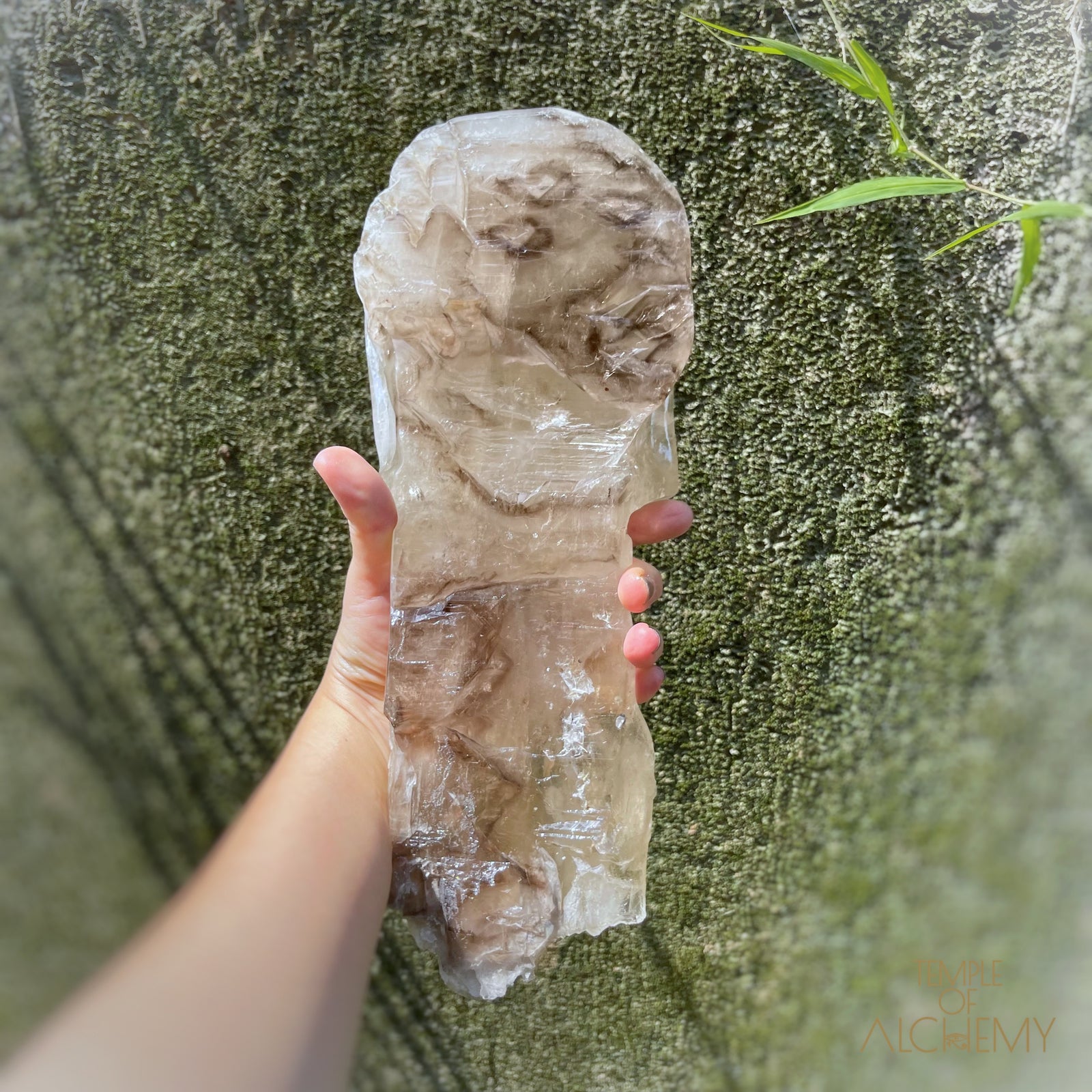 * Reserved A.B * Enhydro Shaman