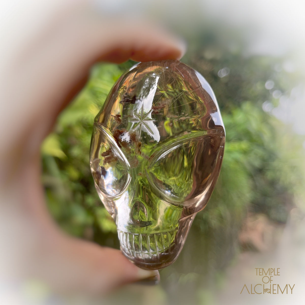 Smoky Citrine x Golden Rutiles