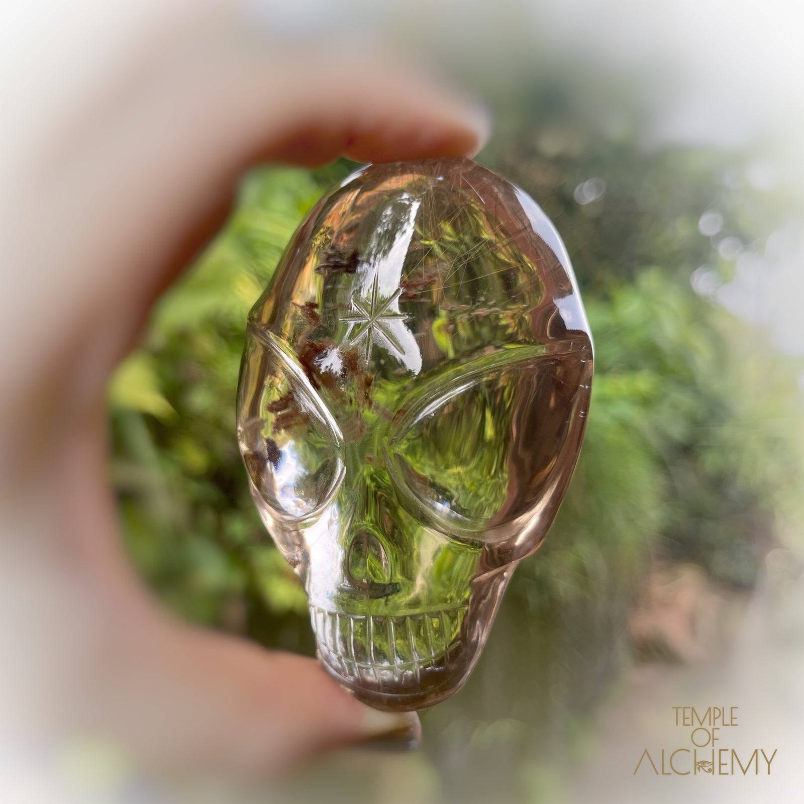 Smoky Citrine x Golden Rutiles