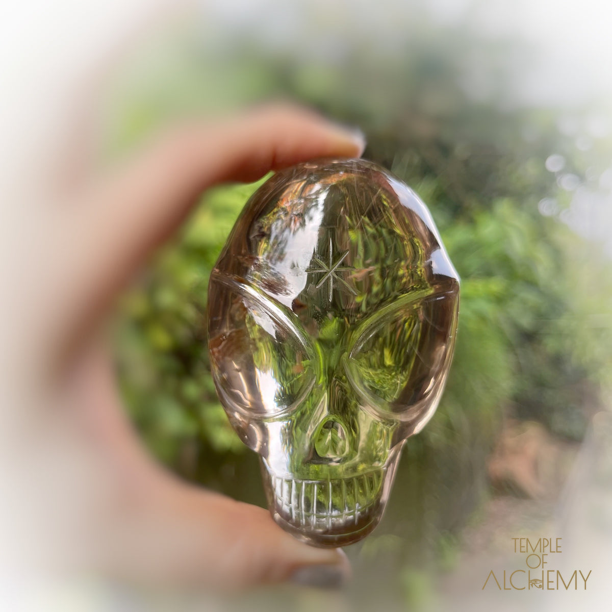 Smoky Citrine x Golden Rutiles