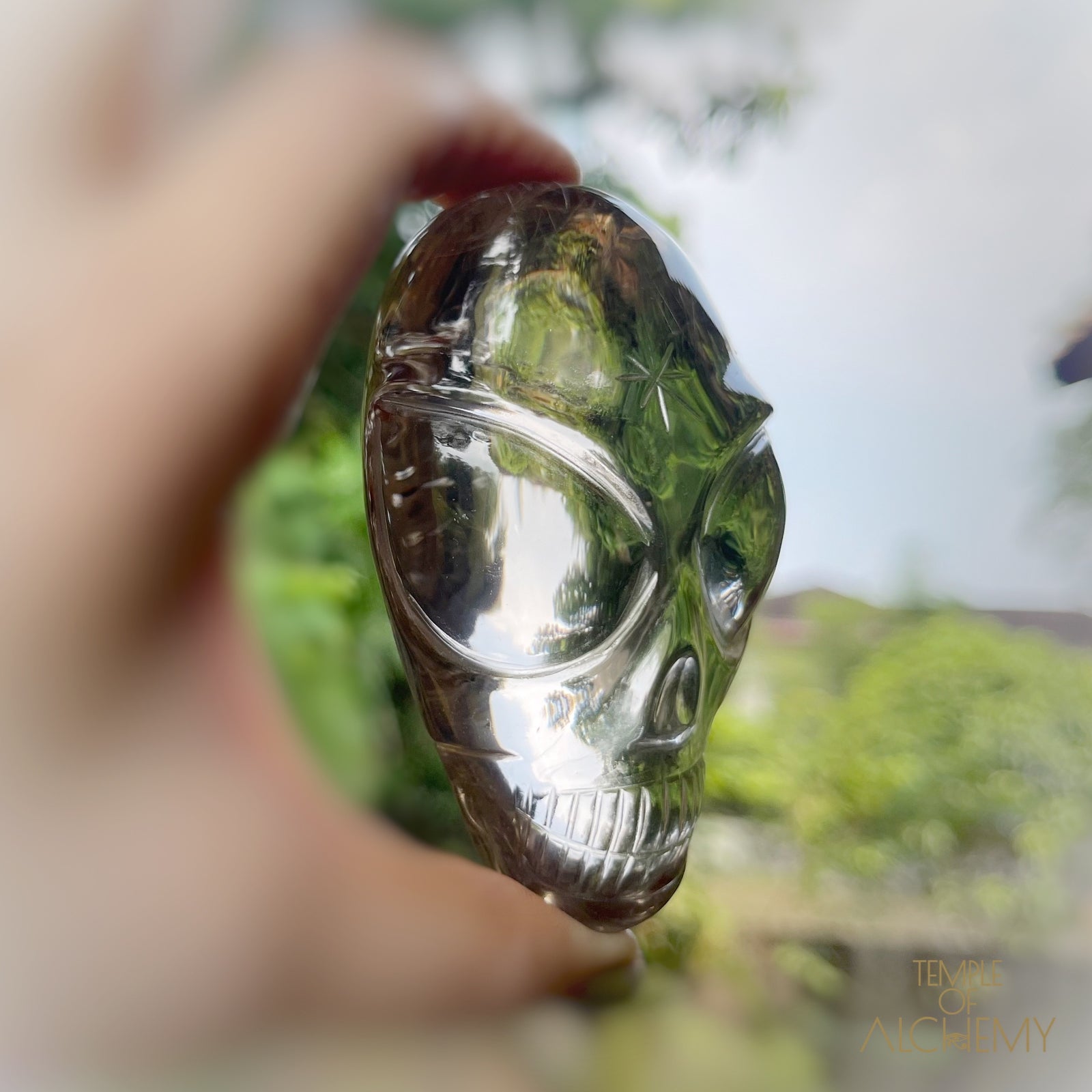 Smoky Citrine x Golden Rutiles