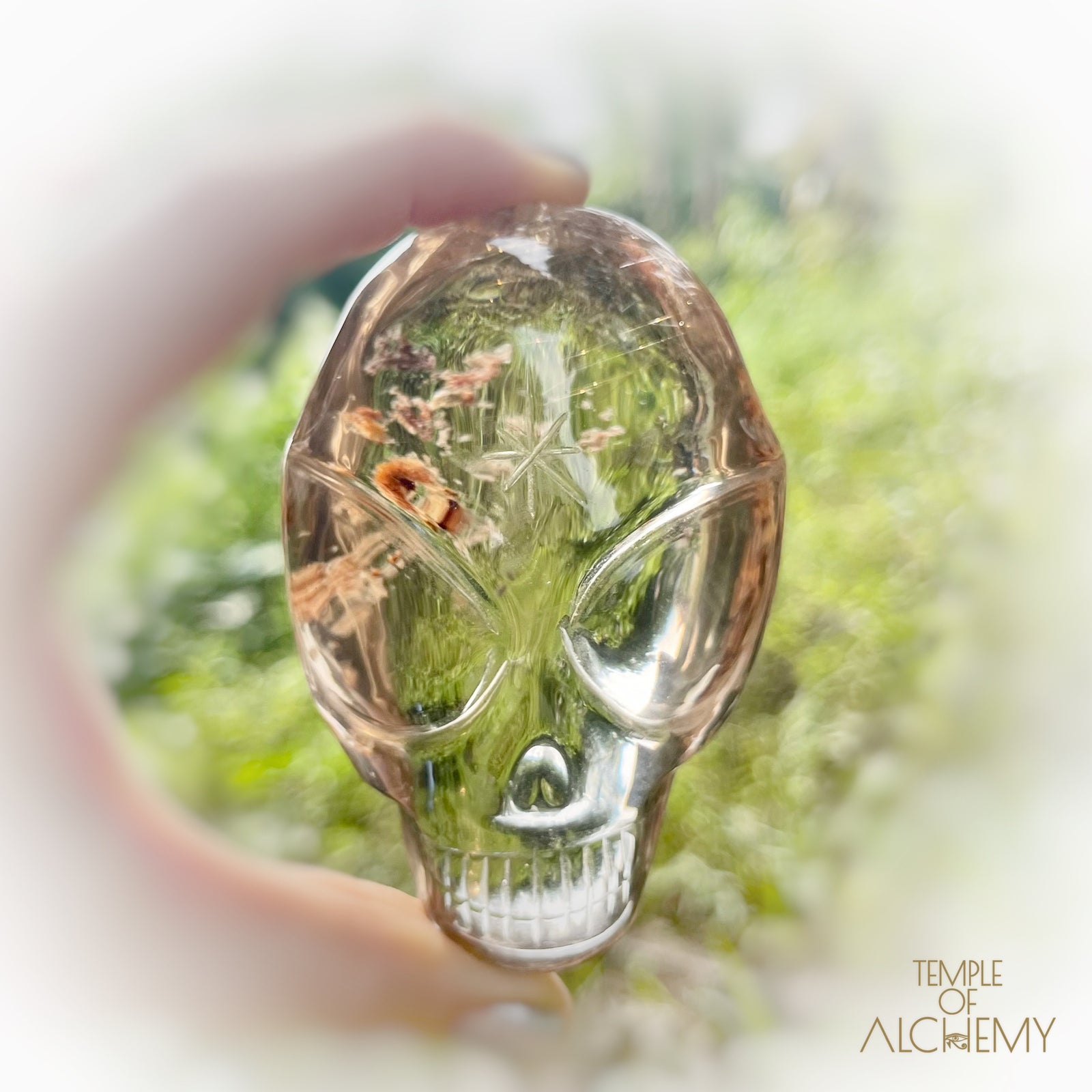 Smoky Citrine x Golden Rutiles