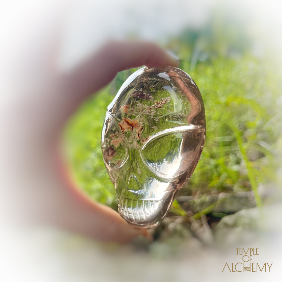 Smoky Citrine x Golden Rutiles