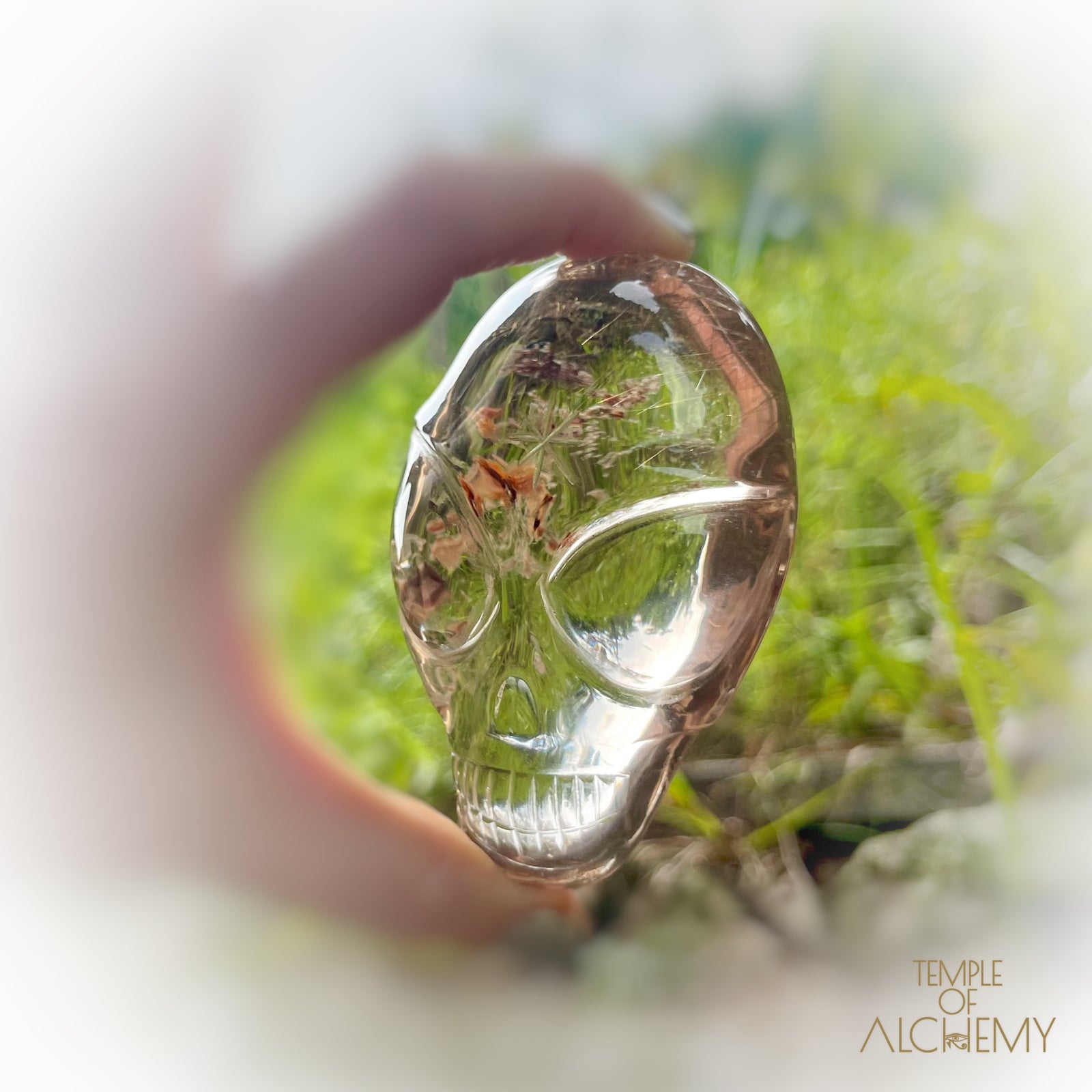 Smoky Citrine x Golden Rutiles