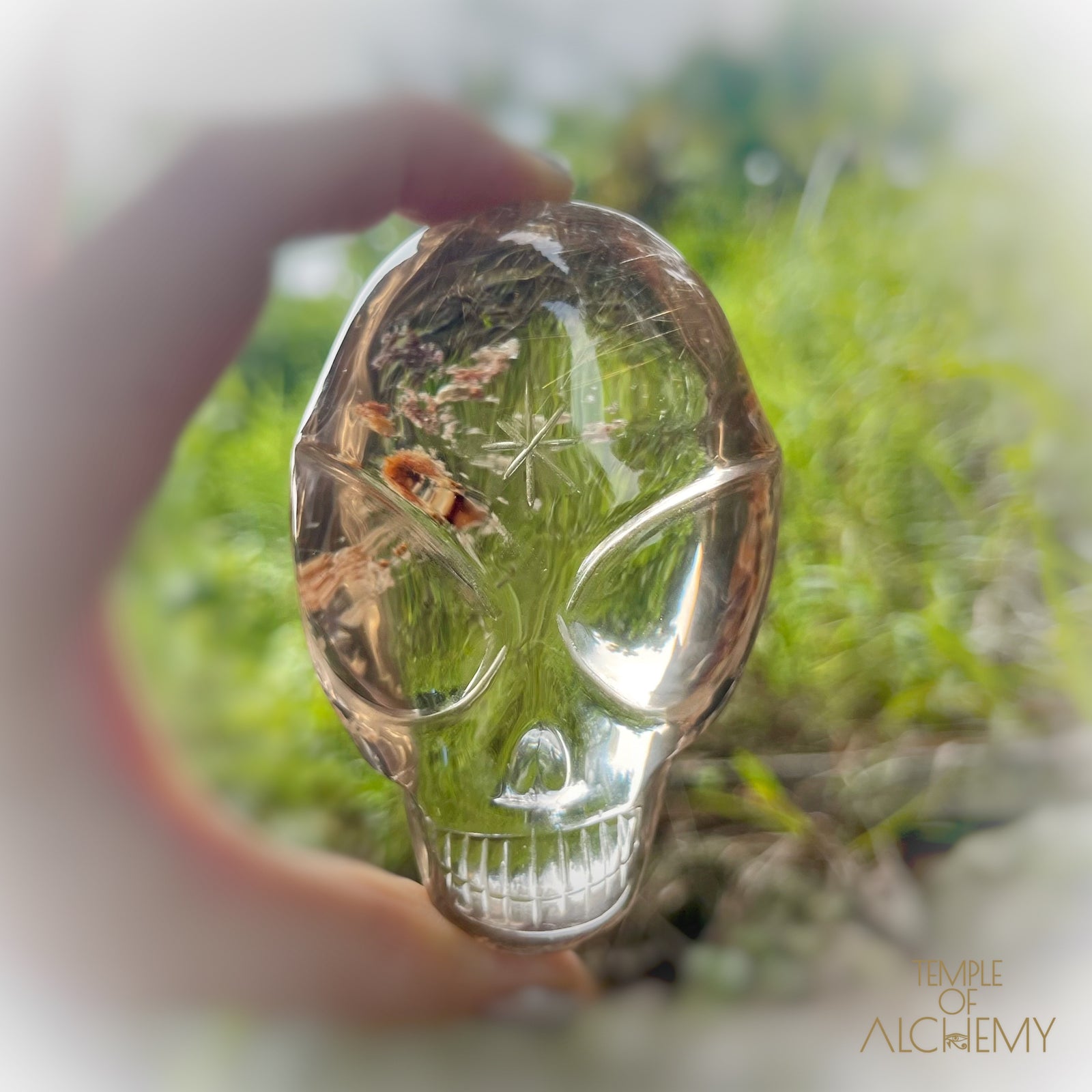 Smoky Citrine x Golden Rutiles