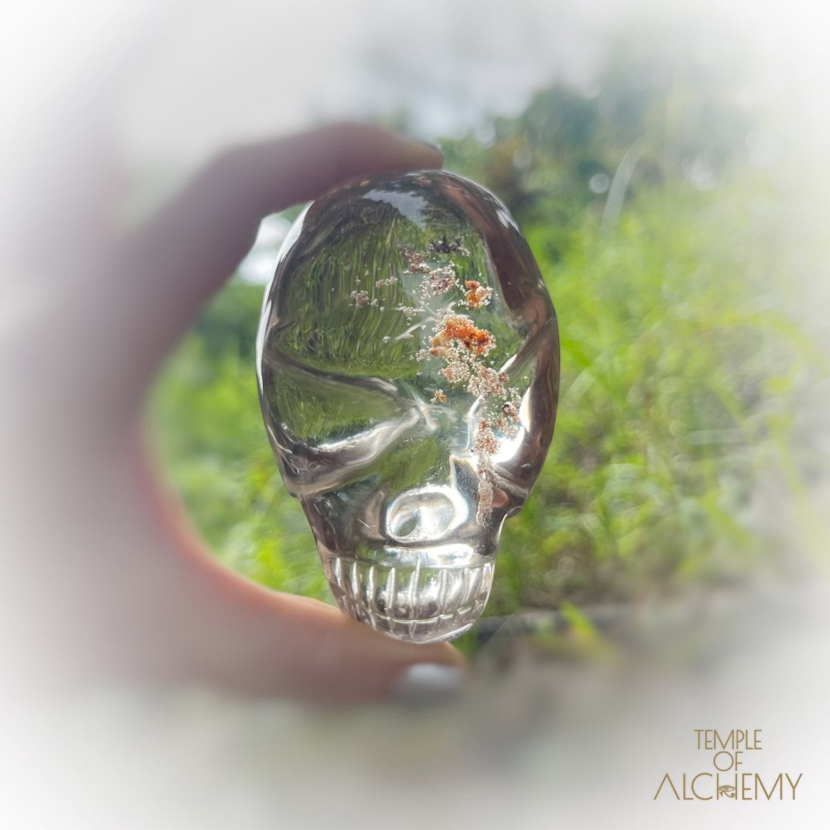 Smoky Citrine x Golden Rutiles