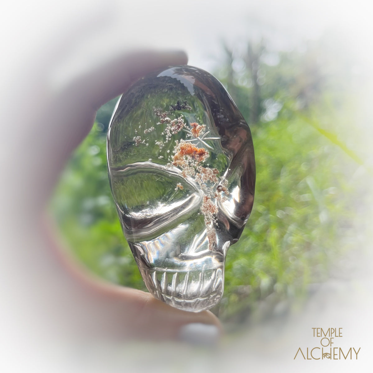 Smoky Citrine x Golden Rutiles