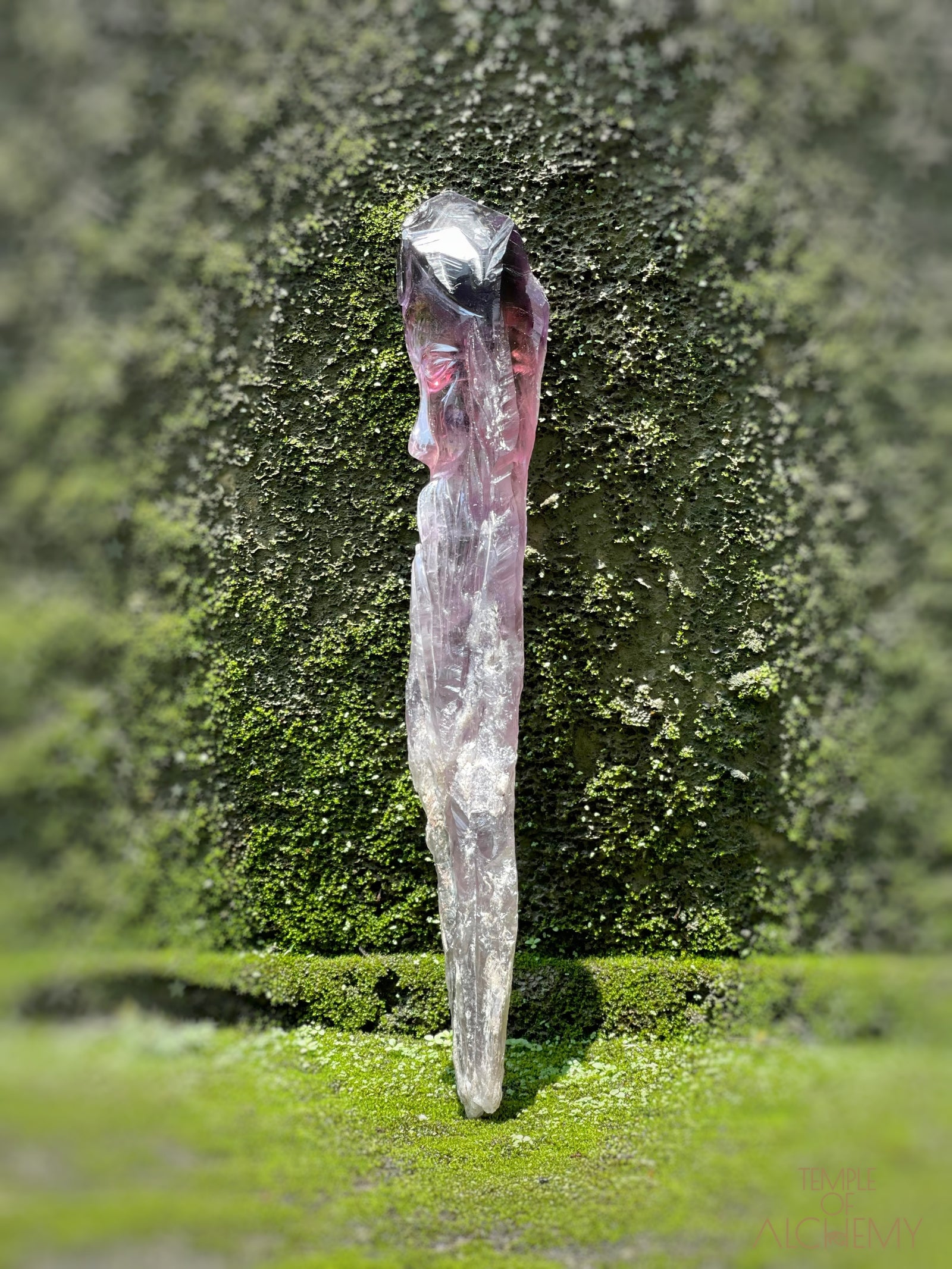 Record Keeper 𓄂♡𓆃 Phantom Ametrine